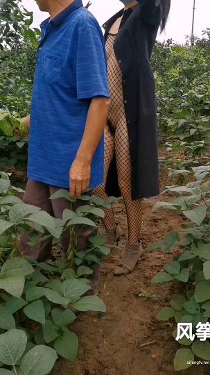 03主播风筝断了线9月_1080p