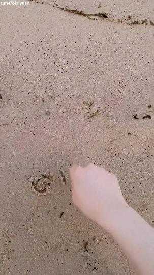 推特吸粉模特Mizukawa福利合集xxapple_e5