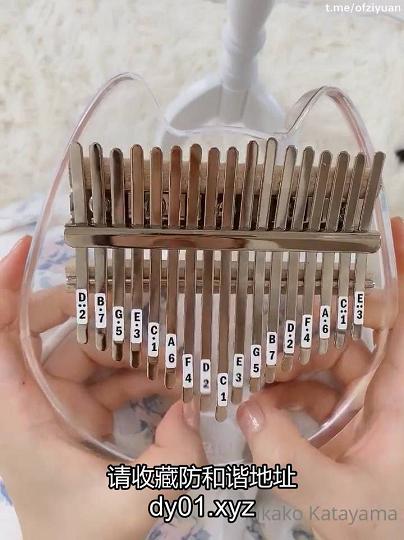 OnlyFans韩系名媛婊RikakoKatayama11