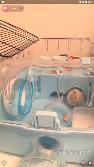 国产极品主播三藏吖系列20200315210737_Trim