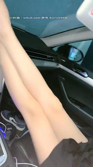 美腿主播AVOVE_2020.10.31车震_223305