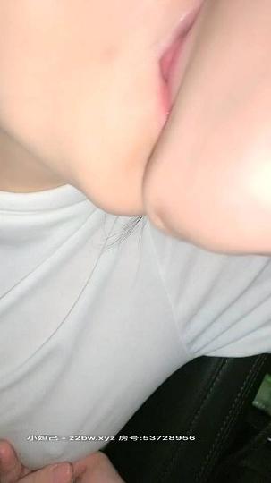 美腿主播AVOVE_2020.12.25‖车震‖白长袖黑裙‖灰丝‖户外车震内射_T