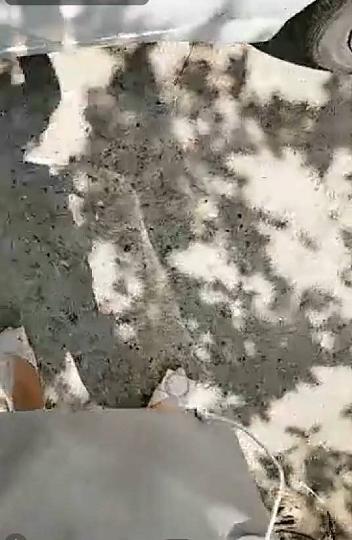 豪乳長舌主播勾搭火車大叔車震大叔急吼吼的騷擾不停操起來卻是個快槍手氣的姐姐直呼秒射叔