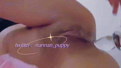 小萌兽囡囡_人类高颜值m极度反差母狗nannan_puppy-1437582518161575940-20210914_090235-vid1_new