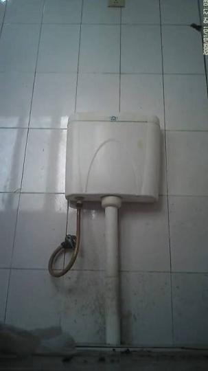 新年厕拍礼包11422