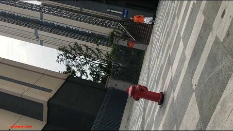 新年厕拍礼包123-62.avi