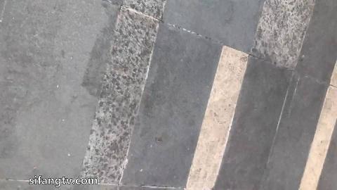 新年厕拍礼包123-71