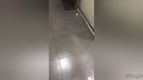 新年厕拍礼包123-712