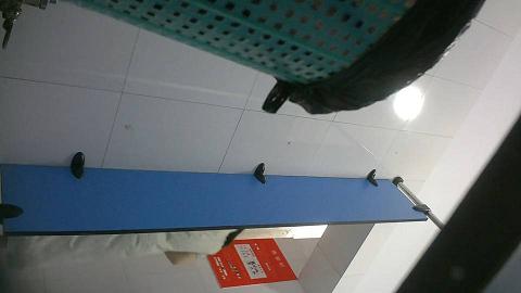 新年厕拍礼包20210505174849_0000082021552050556