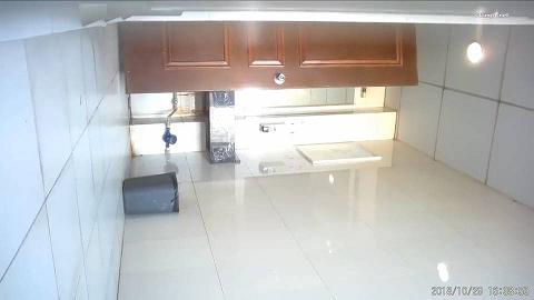 新年厕拍礼包8d