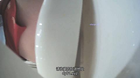 新年厕拍礼包卡通内裤的乘务员