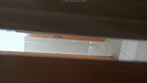 新年厕拍礼包白色.avi