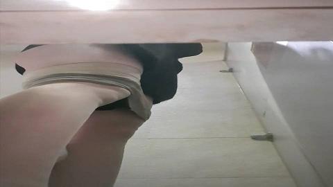 新年厕拍礼包肉丝cepa1