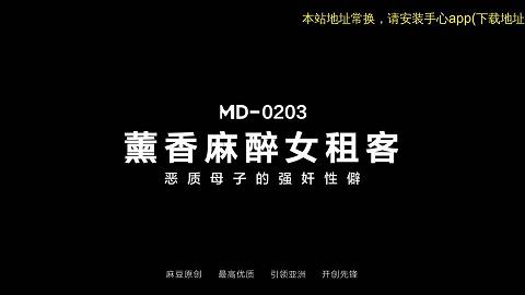 麻豆系列04