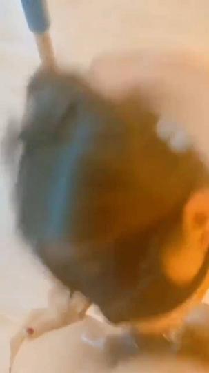 调教MM誓言要么不做要么做到最好选择自己喜欢的事把它做到极致主人开心爽爆-1284