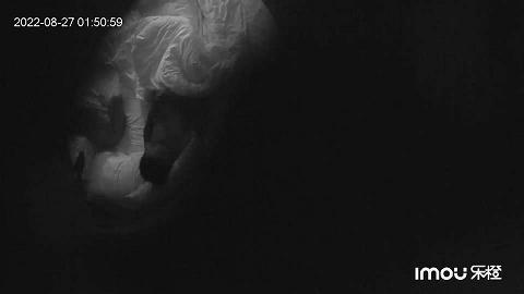 2022-8-27最新流出乐橙酒店偷拍眼镜白领情侣周末激情妹子貌似很敏感轻轻一碰就叫0827-1