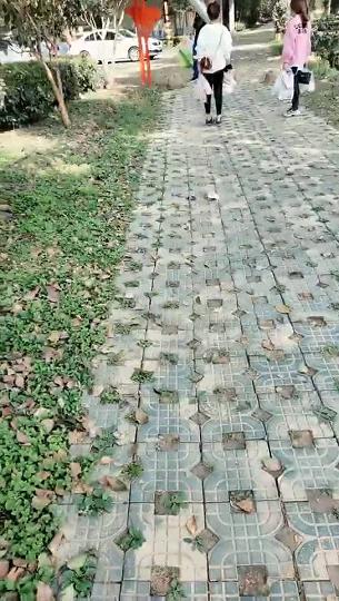 风骚美女道路旁边玩车震