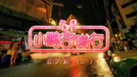 小鹏奇啪行第一季番外篇二