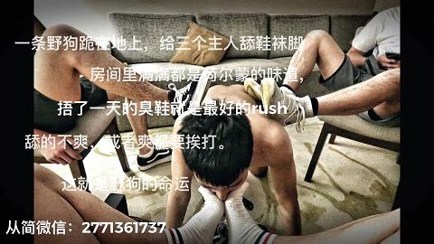 一只狗三个主人关爱不断给主人舔鞋舔脚 稍不开心就要挨主人们的毒打