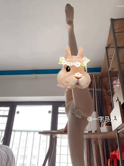 极品一字马极品长腿170CM大二舞蹈生13