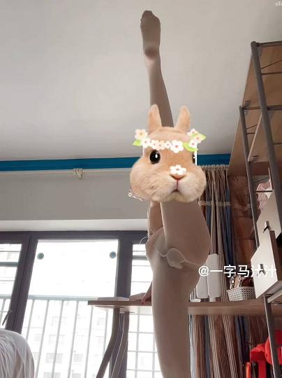 极品一字马极品长腿170CM大二舞蹈生FinalVideo_1648217376.359582