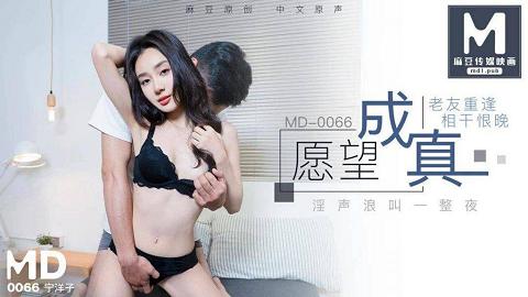 愿望成真-MD-0066