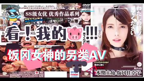 π041 这是我的猪