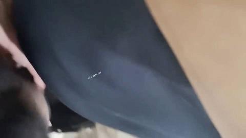 私密电报付费群贵宾席专属福利~长沙极品网红CD美佳琪露脸私拍~男女妖三性~混交5P群魔乱舞1143.avi