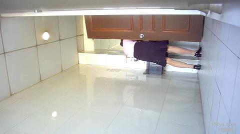 国产视频单位女厕偷拍白丝黑高根女秘书曼妙身材和细长逼缝直接对着撸了