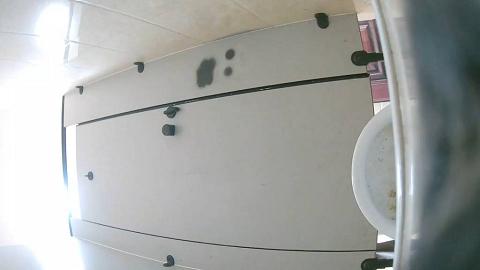 学生公寓附近女厕全景偷拍20230309093711_0000114.mov