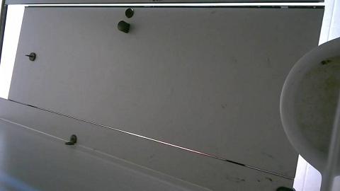 学生公寓附近女厕全景偷拍20230308093711_0000113.mov