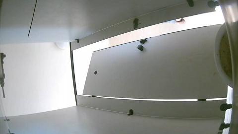 学生公寓附近女厕全景偷拍20230305093711_0000169.mov