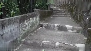 二0歲的紀念观光讓繼父加害