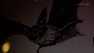 六本木的硬盒中出性愛俱樂部亂交派對 vol 二