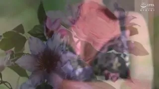 初拍他人老婆精檔案 水澤是梨音