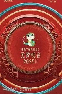 中央广播电视总台2025年元宵晚会