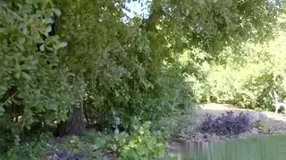 AllGirlMassage-扫一扫第0一集