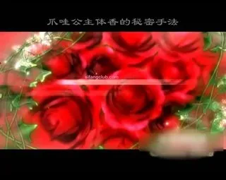 国产印尼式精油SPA身体护理揭秘内部视频流出-爪哇公主体香的奥秘手法-真人示范-国语讲授第0一集