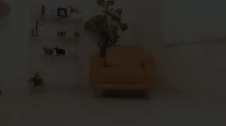 Carib一一二九一九-0一DebutVol第0二集