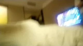 九一王老吉微信约一七三CM标致牛仔短裤美男酒店啪啪,要提早付出二000元才让襙,还好有备而来各类襙,钱花的值 国语