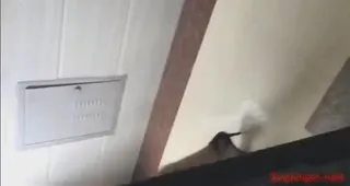 肉丝美足太诱人车上就不是得把玩一下带往酒店渐渐玩