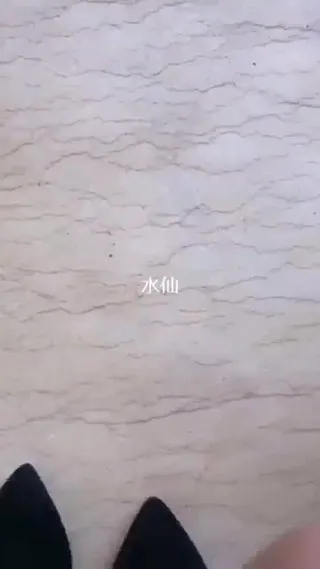 美男主播为礼品勾引健身锻练到公园,有人路过吓得把jb拔出来,美男说胆量太小了