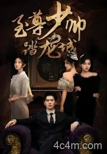 至尊少帅踏龙城