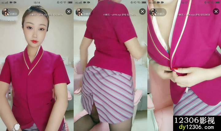 性感空乘学姐2－12133833.mp4