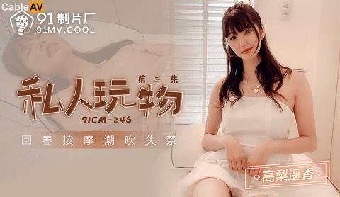 麻豆系列國產AV91制片廠91CM246私人玩物3高梨遙香