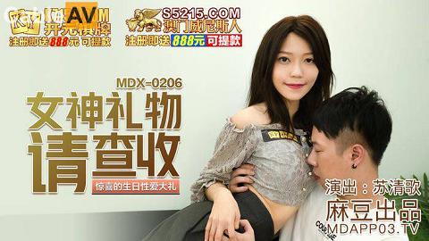 麻豆系列MDX-0206